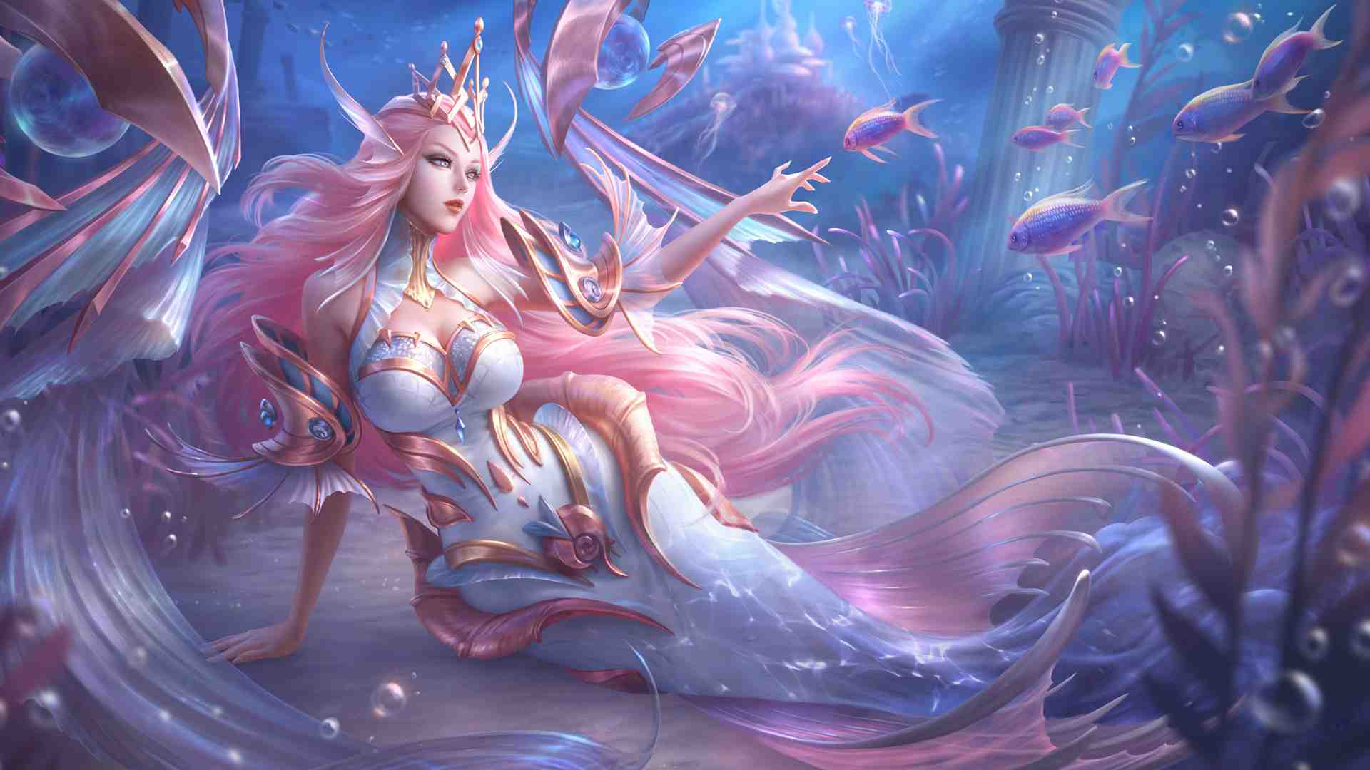 独家揭秘，猫咪视频app安卓史上第一款老年版，你的猫咪新宠，从未如此智慧、细腻